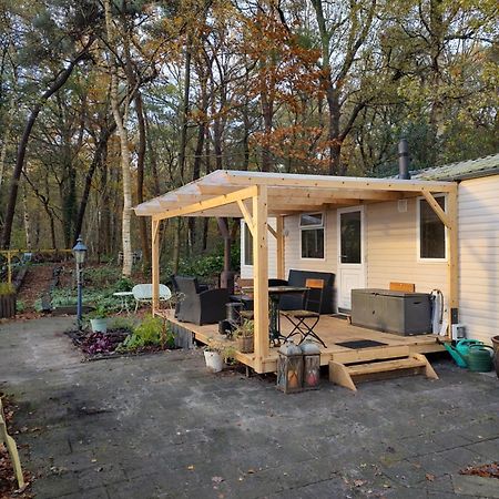 Chalet Met Veranda Aan Bosrand Vledder Zewnętrze zdjęcie