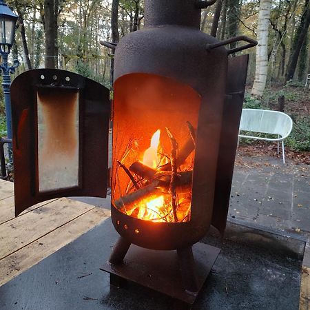 Chalet Met Veranda Aan Bosrand Vledder Zewnętrze zdjęcie