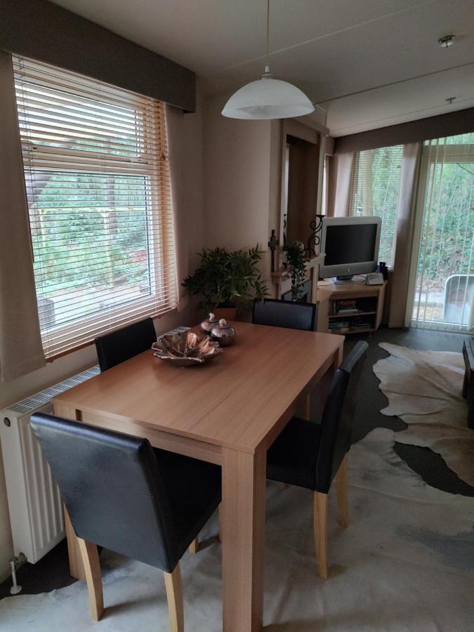 Chalet Met Veranda Aan Bosrand Vledder Zewnętrze zdjęcie