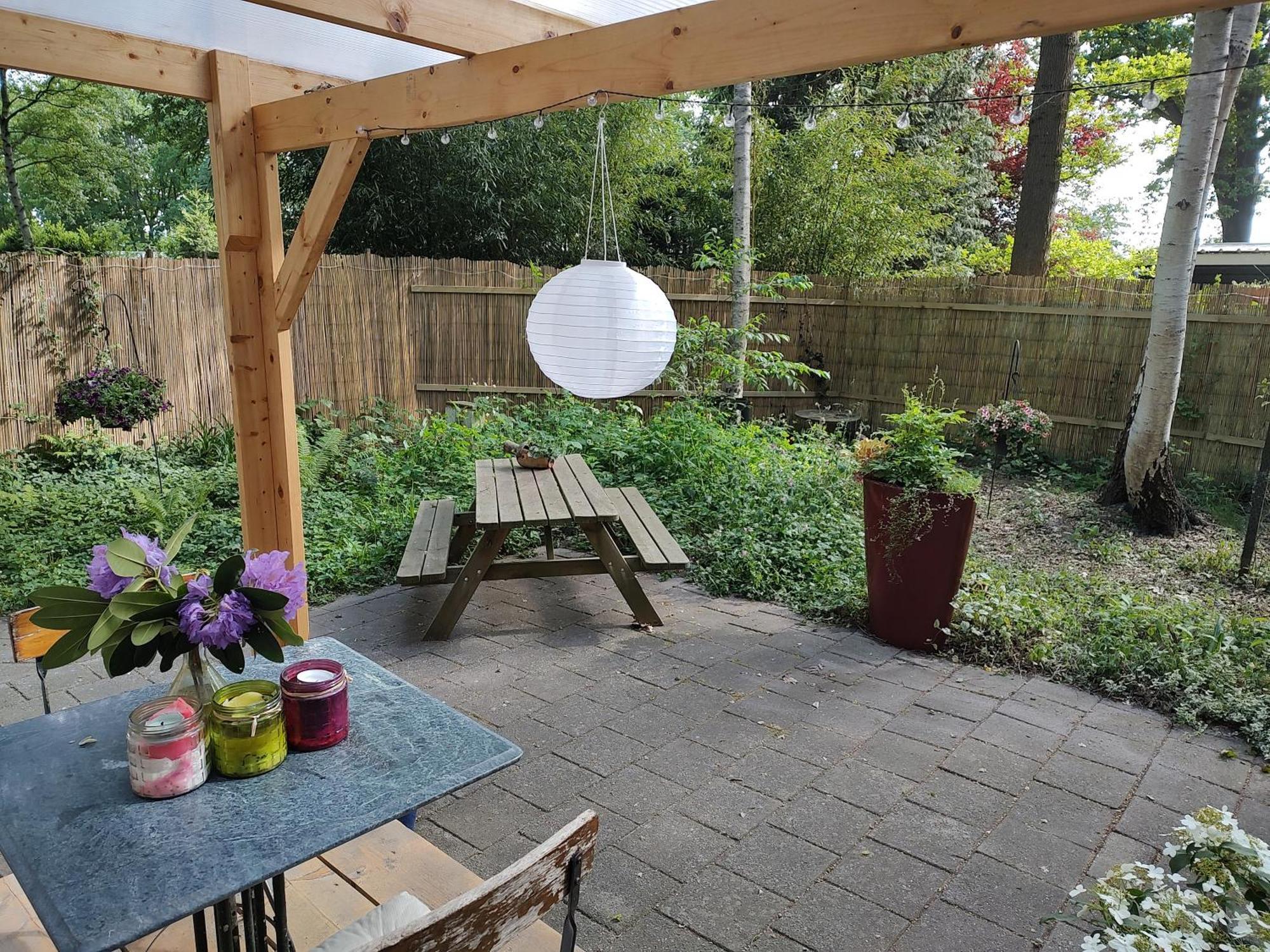 Chalet Met Veranda Aan Bosrand Vledder Zewnętrze zdjęcie