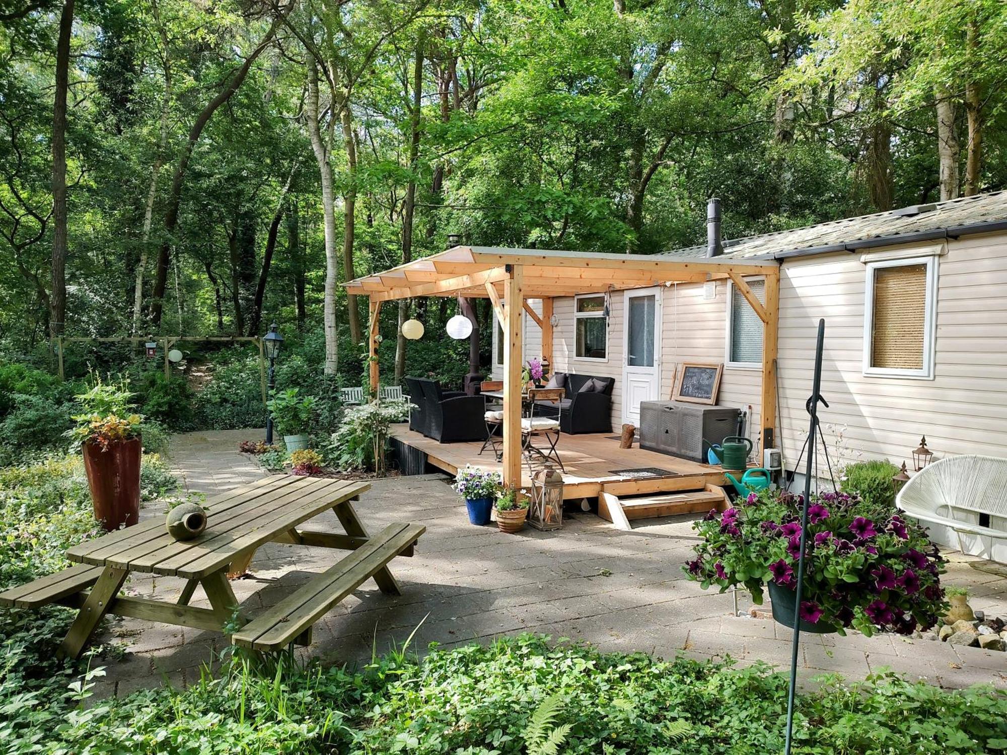 Chalet Met Veranda Aan Bosrand Vledder Zewnętrze zdjęcie