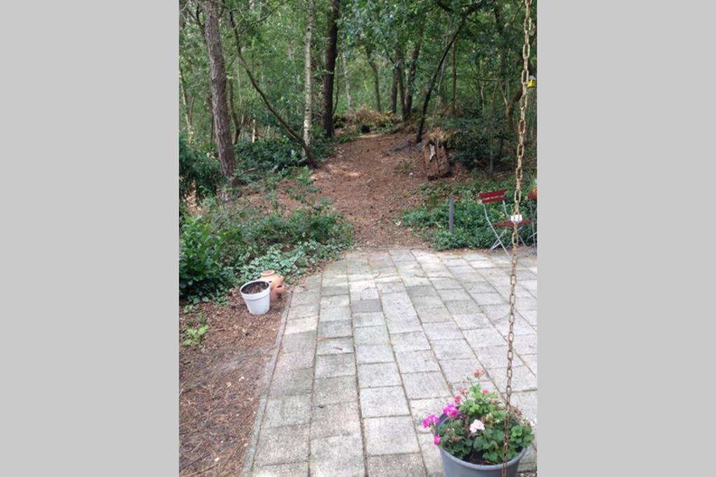 Chalet Met Veranda Aan Bosrand Vledder Zewnętrze zdjęcie