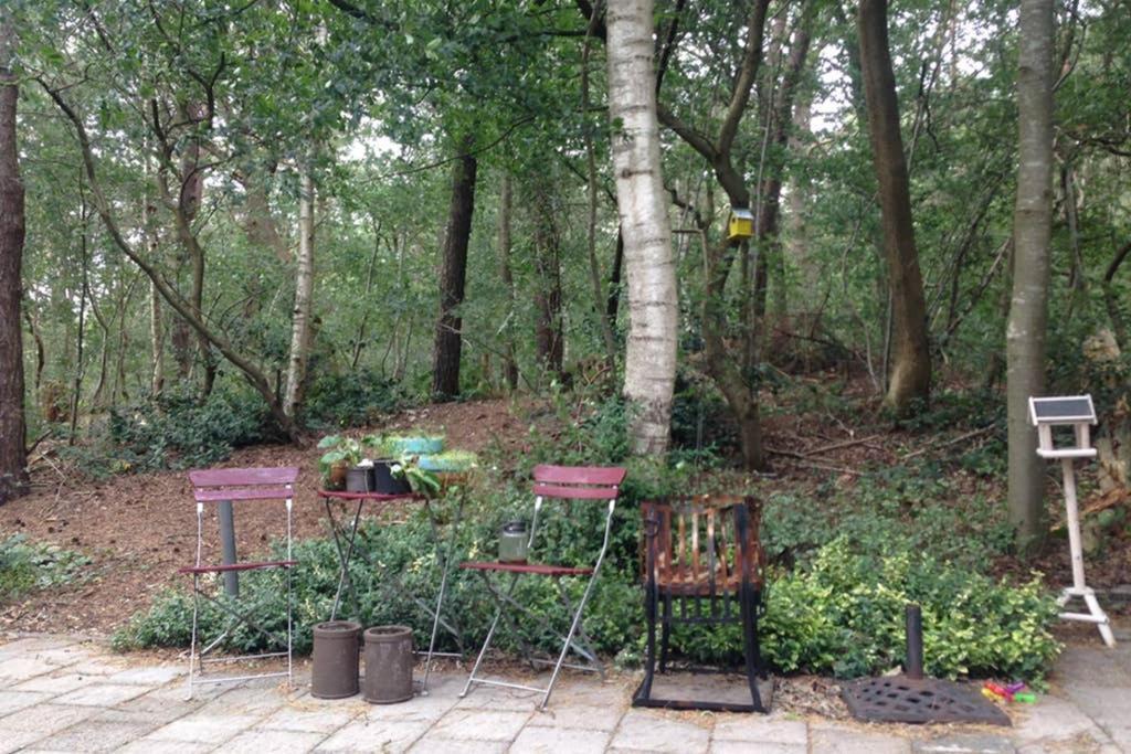 Chalet Met Veranda Aan Bosrand Vledder Zewnętrze zdjęcie