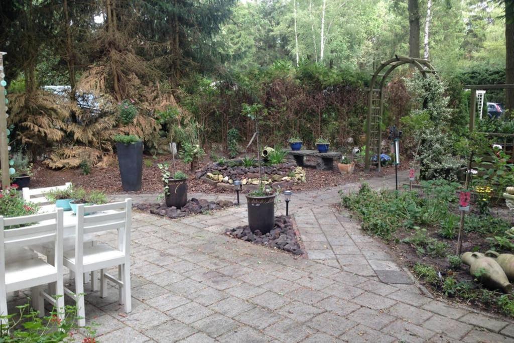 Chalet Met Veranda Aan Bosrand Vledder Zewnętrze zdjęcie