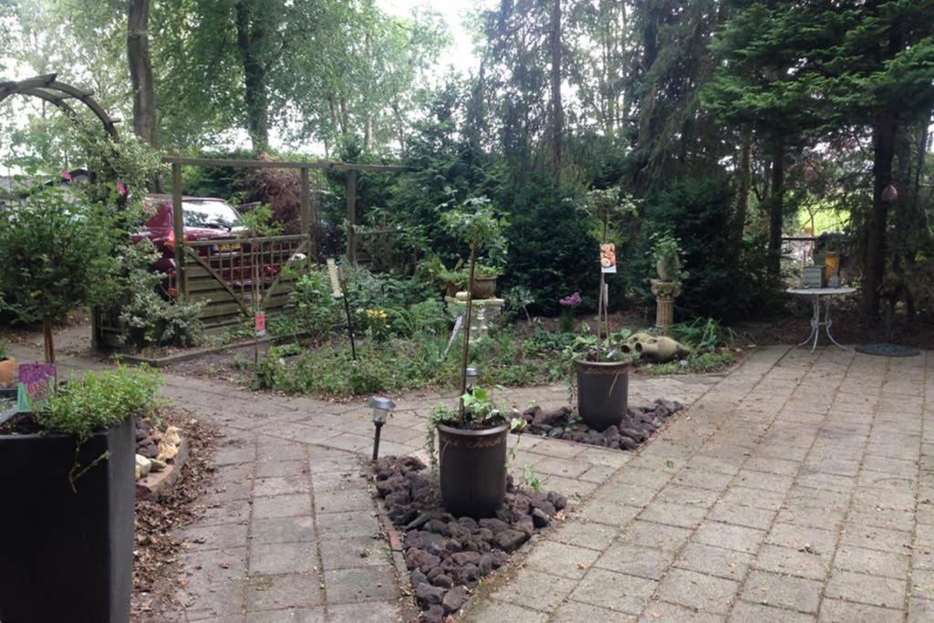 Chalet Met Veranda Aan Bosrand Vledder Zewnętrze zdjęcie